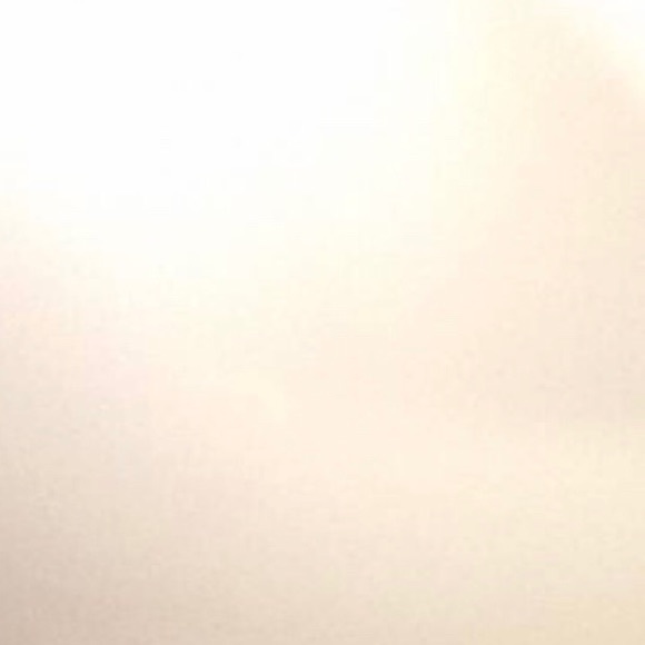 Meet your Posher, Estrella - Picture 1 of 1